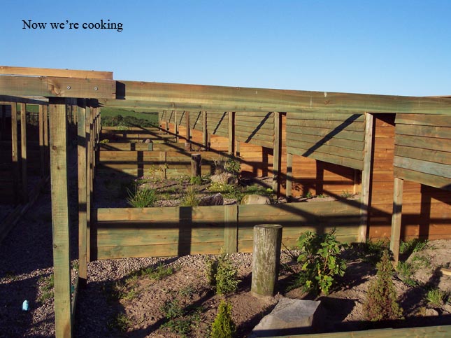 aviary construction pic 6