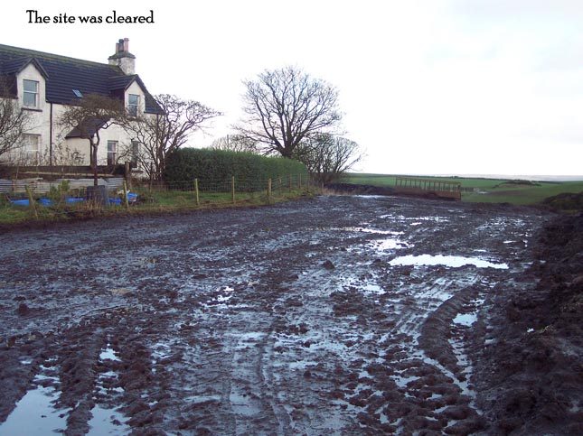 aviary construction pic 2