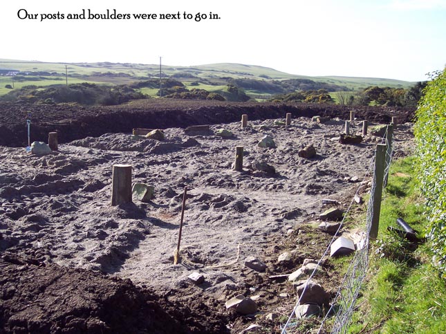 aviary construction pic 3