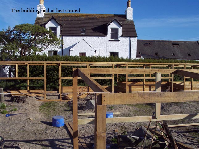 aviary construction pic 4