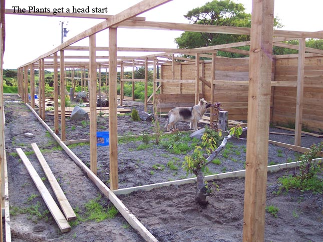 aviary construction pic 5